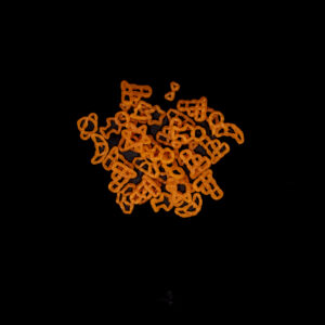 PASTA ESPACIAL TRIGO