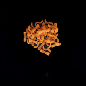 PASTA LAGRIMA TRIGO