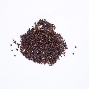 SEMILLA DE MOSTAZA / NABO